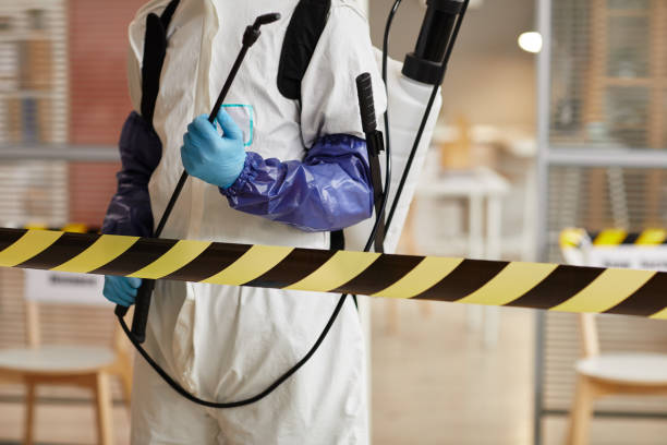 Professional Odor Removal technician working in Forest, OH
