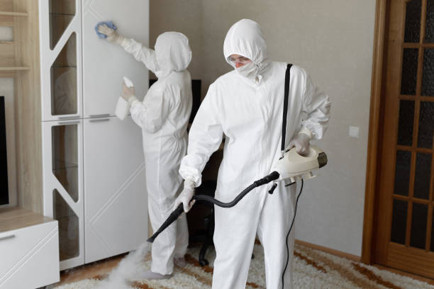 24/7 Emergency Odor Removal experts in Forest, OH